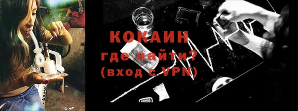 mix Богородицк
