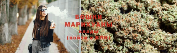 mix Богородицк