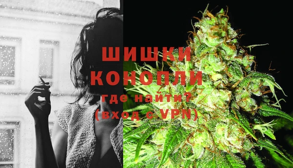крисы Богородск