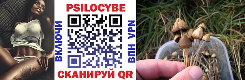 omg ССЫЛКА  где можно купить   Чудово  Галлюциногенные грибы Psilocybine cubensis 